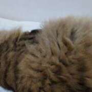 ヒメ日記 2025/08/16 00:24 投稿 ふう 熟女の風俗最終章 仙台店