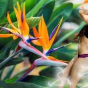 ヒメ日記 2025/08/16 09:34 投稿 ふう 熟女の風俗最終章 仙台店