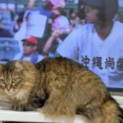 ヒメ日記 2025/08/17 12:47 投稿 ふう 熟女の風俗最終章 仙台店