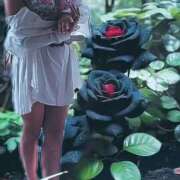 ヒメ日記 2025/08/27 02:24 投稿 ふう 熟女の風俗最終章 仙台店