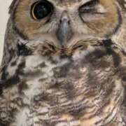 ヒメ日記 2025/09/04 09:54 投稿 ふう 熟女の風俗最終章 仙台店