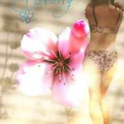 ヒメ日記 2025/09/28 00:24 投稿 ふう 熟女の風俗最終章 仙台店