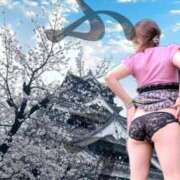 ヒメ日記 2025/10/09 12:50 投稿 ふう 熟女の風俗最終章 仙台店