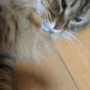 ヒメ日記 2025/10/30 22:04 投稿 ふう 熟女の風俗最終章 仙台店