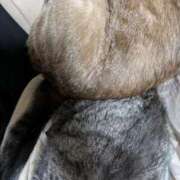 ヒメ日記 2025/11/02 09:11 投稿 ふう 熟女の風俗最終章 仙台店