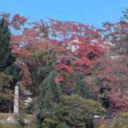 ヒメ日記 2025/11/02 11:14 投稿 ふう 熟女の風俗最終章 仙台店