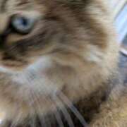 ヒメ日記 2025/11/10 00:54 投稿 ふう 熟女の風俗最終章 仙台店