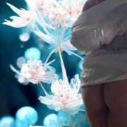 ヒメ日記 2025/12/13 23:27 投稿 ふう 熟女の風俗最終章 仙台店