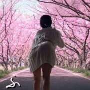 ヒメ日記 2026/01/17 00:04 投稿 ふう 熟女の風俗最終章 仙台店