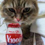 ヒメ日記 2026/01/28 07:34 投稿 ふう 熟女の風俗最終章 仙台店