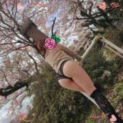 ヒメ日記 2026/01/31 07:54 投稿 ふう 熟女の風俗最終章 仙台店