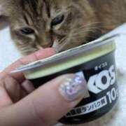 ヒメ日記 2026/03/08 07:36 投稿 ふう 熟女の風俗最終章 仙台店