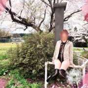 ヒメ日記 2026/04/01 14:14 投稿 ふう 熟女の風俗最終章 仙台店