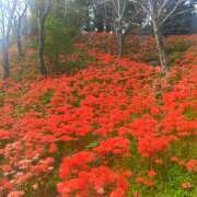 ヒメ日記 2025/10/06 22:37 投稿 なほ 熟女SPA