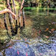 ヒメ日記 2025/11/29 22:16 投稿 なほ 熟女SPA