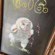 ヒメ日記 2025/04/16 13:29 投稿 ◆心-こころPLATINUM◆ 広島超性感マッサージ倶楽部 マル秘世界