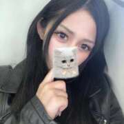 ヒメ日記 2026/04/03 12:48 投稿 しえる ジュリアングループ三多摩店