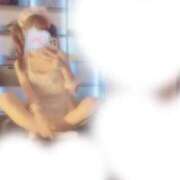 ヒメ日記 2025/09/24 19:46 投稿 にあ タレント倶楽部Around40