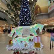 ヒメ日記 2024/12/22 11:58 投稿 たまき SMAT×SMAT（スマットスマット）