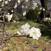 ヒメ日記 2025/02/18 20:07 投稿 たまき SMAT×SMAT（スマットスマット）