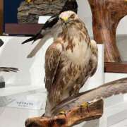 ヒメ日記 2025/02/22 23:32 投稿 たまき SMAT×SMAT（スマットスマット）