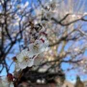 ヒメ日記 2025/03/21 20:43 投稿 たまき SMAT×SMAT（スマットスマット）