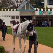 ヒメ日記 2025/03/30 14:10 投稿 たまき SMAT×SMAT（スマットスマット）