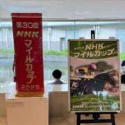 ヒメ日記 2025/05/11 14:22 投稿 たまき SMAT×SMAT（スマットスマット）