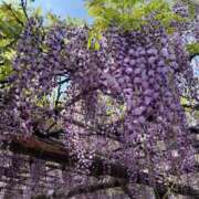 ヒメ日記 2025/05/31 22:23 投稿 たまき SMAT×SMAT（スマットスマット）