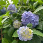 ヒメ日記 2025/07/20 07:36 投稿 たまき SMAT×SMAT（スマットスマット）