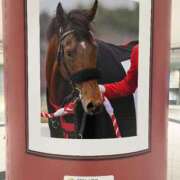 ヒメ日記 2025/07/20 12:04 投稿 たまき SMAT×SMAT（スマットスマット）