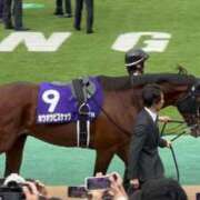 ヒメ日記 2025/08/17 13:02 投稿 たまき SMAT×SMAT（スマットスマット）