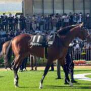 ヒメ日記 2025/12/07 11:24 投稿 たまき SMAT×SMAT（スマットスマット）