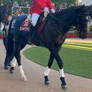 たまき 今日の馬券 SMAT×SMAT（スマットスマット）