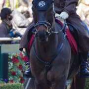 ヒメ日記 2026/01/12 12:04 投稿 たまき SMAT×SMAT（スマットスマット）