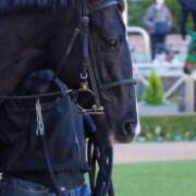 ヒメ日記 2026/01/25 12:02 投稿 たまき SMAT×SMAT（スマットスマット）