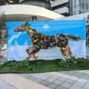 ヒメ日記 2026/03/01 12:05 投稿 たまき SMAT×SMAT（スマットスマット）