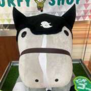 ヒメ日記 2026/03/15 14:30 投稿 たまき SMAT×SMAT（スマットスマット）