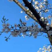 ヒメ日記 2026/04/10 17:01 投稿 たまき SMAT×SMAT（スマットスマット）