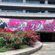 ヒメ日記 2026/05/24 12:05 投稿 たまき SMAT×SMAT（スマットスマット）