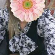 ヒメ日記 2025/03/27 10:42 投稿 わかな モアグループ 土浦人妻花壇