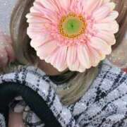 ヒメ日記 2025/04/04 10:27 投稿 わかな モアグループ 土浦人妻花壇