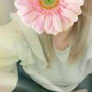 ヒメ日記 2025/04/08 10:21 投稿 わかな モアグループ 土浦人妻花壇