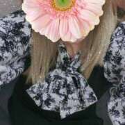 ヒメ日記 2025/04/17 10:27 投稿 わかな モアグループ 土浦人妻花壇