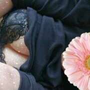 ヒメ日記 2025/05/29 10:12 投稿 わかな モアグループ 土浦人妻花壇