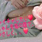 ヒメ日記 2025/09/04 07:03 投稿 わかな モアグループ 土浦人妻花壇