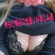 ヒメ日記 2025/10/12 09:18 投稿 わかな モアグループ 土浦人妻花壇