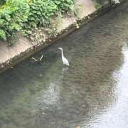 ヒメ日記 2025/12/11 11:23 投稿 れい 回春メンズエステ 華びら