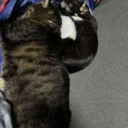 ヒメ日記 2025/12/19 10:23 投稿 れい 回春メンズエステ 華びら