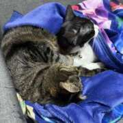 ヒメ日記 2025/12/24 10:33 投稿 れい 回春メンズエステ 華びら